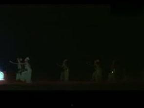 中国话舞蹈视频成人,从中国话舞蹈视频看传统文化与现代生活的交融